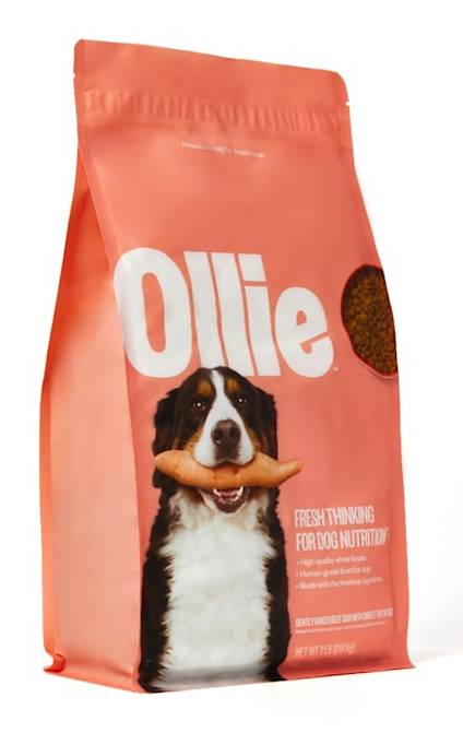 where to buy natural balance dog food Natural Balance Chicken & Barley Dry Dog Food – 4 lb main image 1