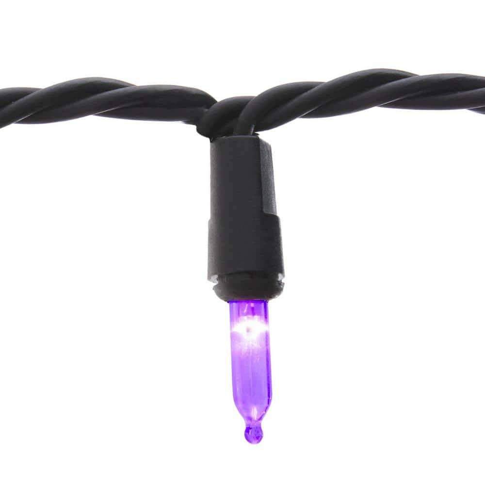 Home Accents Holiday 100L Purple Mini Led Lights