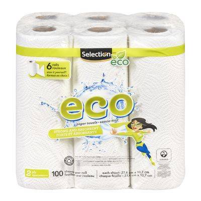 Selection essuie-tout eco à 2 épaisseurs (6 rouleaux x 100 unités) - eco 2-ply paper towels (6 rolls)