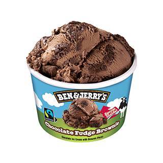 Ben & Jerry's Chocolate Fudge Brownie