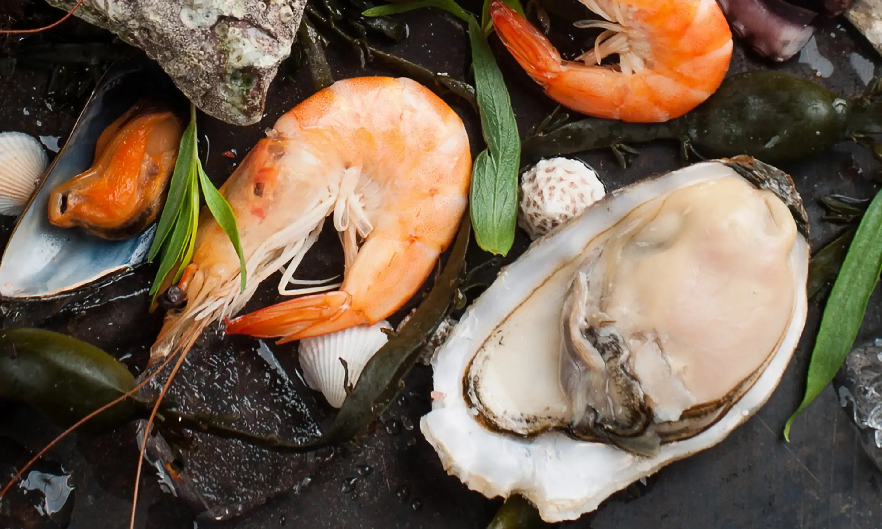 Seafood Party