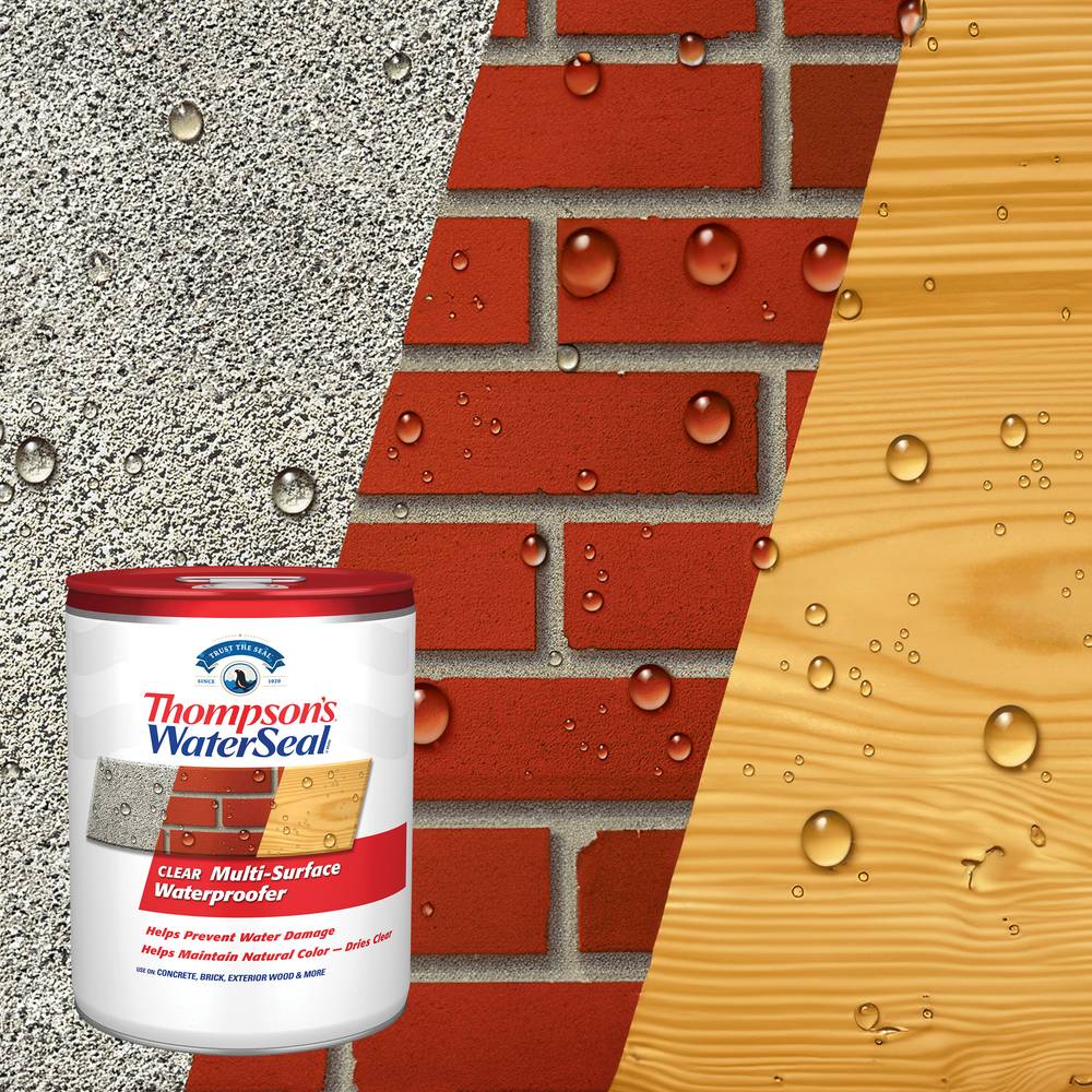 Thompson's Waterseal Clear Multi Surface Waterproofer