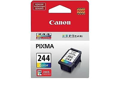 Canon 244 TriColor Standard Yield Ink Cartridge   (1288C001)