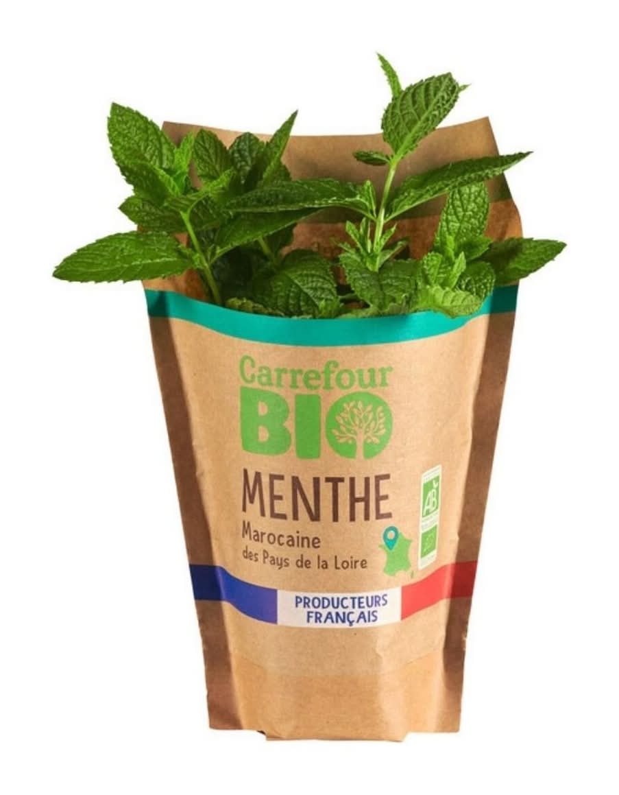 Carrefour Bio - Menthe marocaine