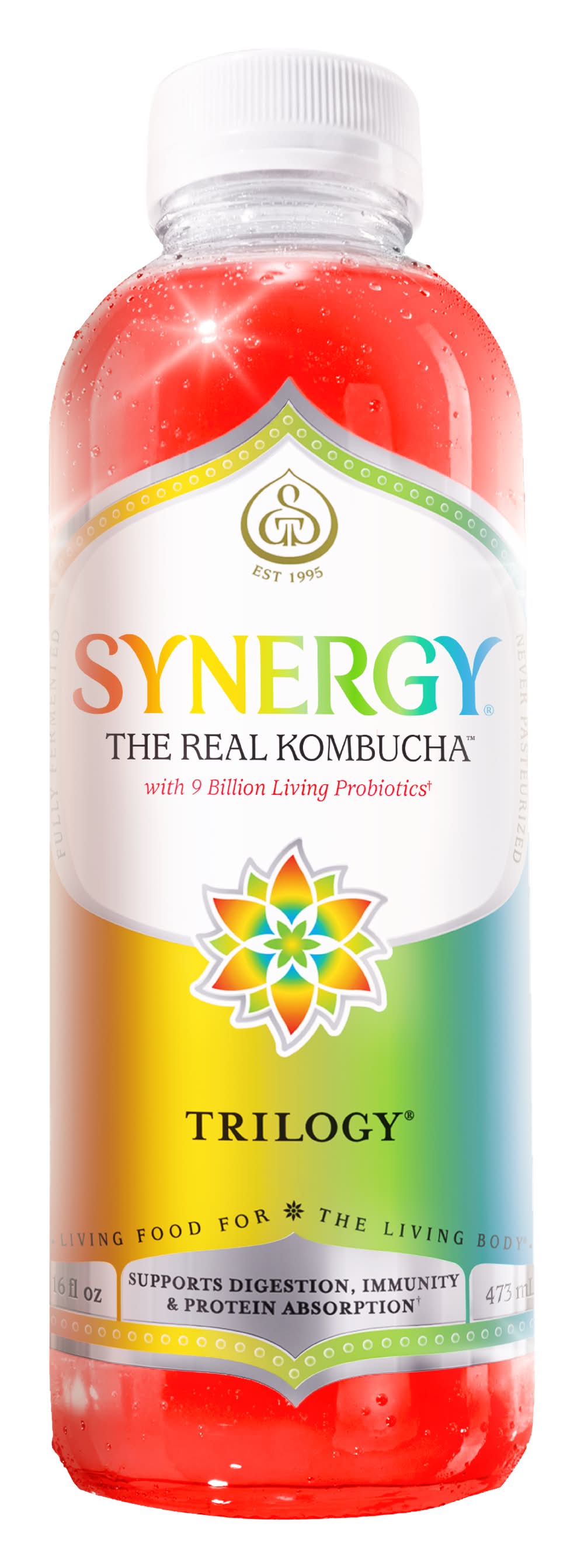 SYNERGY Kombucha Tea, Trilogy (16 fl oz)