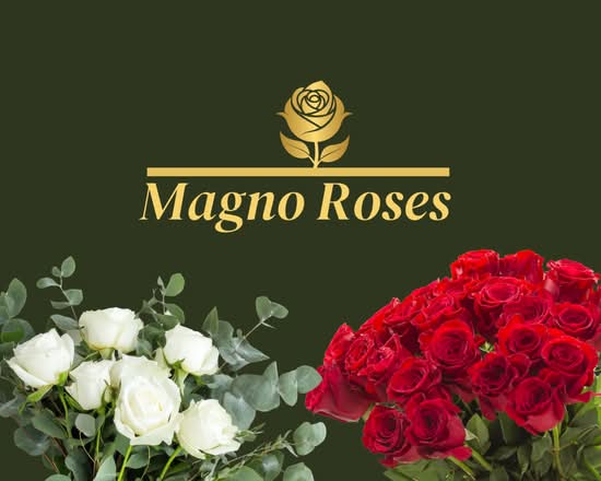 Floristeria Magno roses