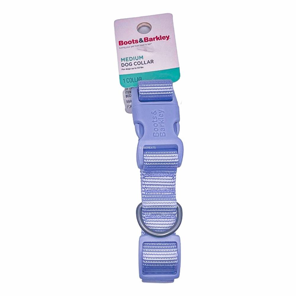 Basic Dog Adjustable Collar with Color Matching Buckle - M - Lilac - Boots & Barkley™