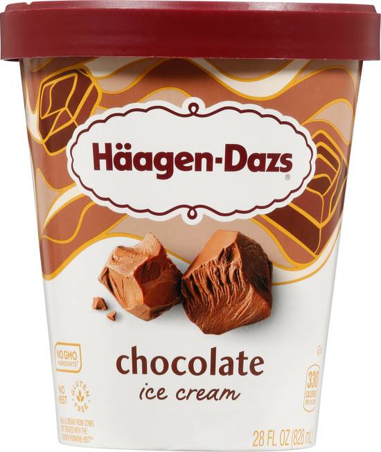 Haagen-Dazs Chocolate Ice Cream