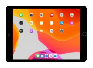 Belkin Screenforce Trueprivacy Anti-Glare Plastic Screen Protector For Apple Ipad 10.2 7th Gen