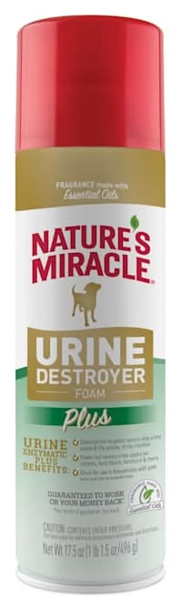 Nature's Miracle Urine Destroyer Plus Foam, Stain & Odor Remover for Dogs, 17.5 fl. oz.