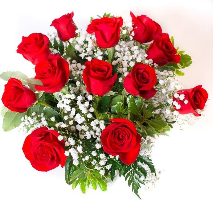 Dozen Red Rose Arrangement - premium vase