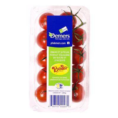 Greenhouse Bella tomatoes - Tomates bella de serre