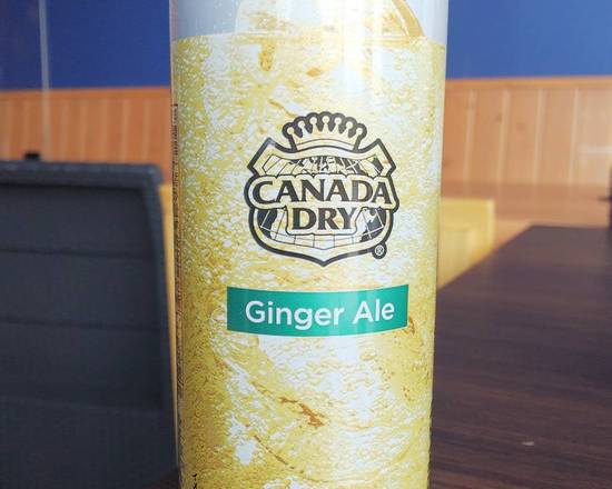 カナダドライジンジャーエールCANADADRY GINGER ALE250ml