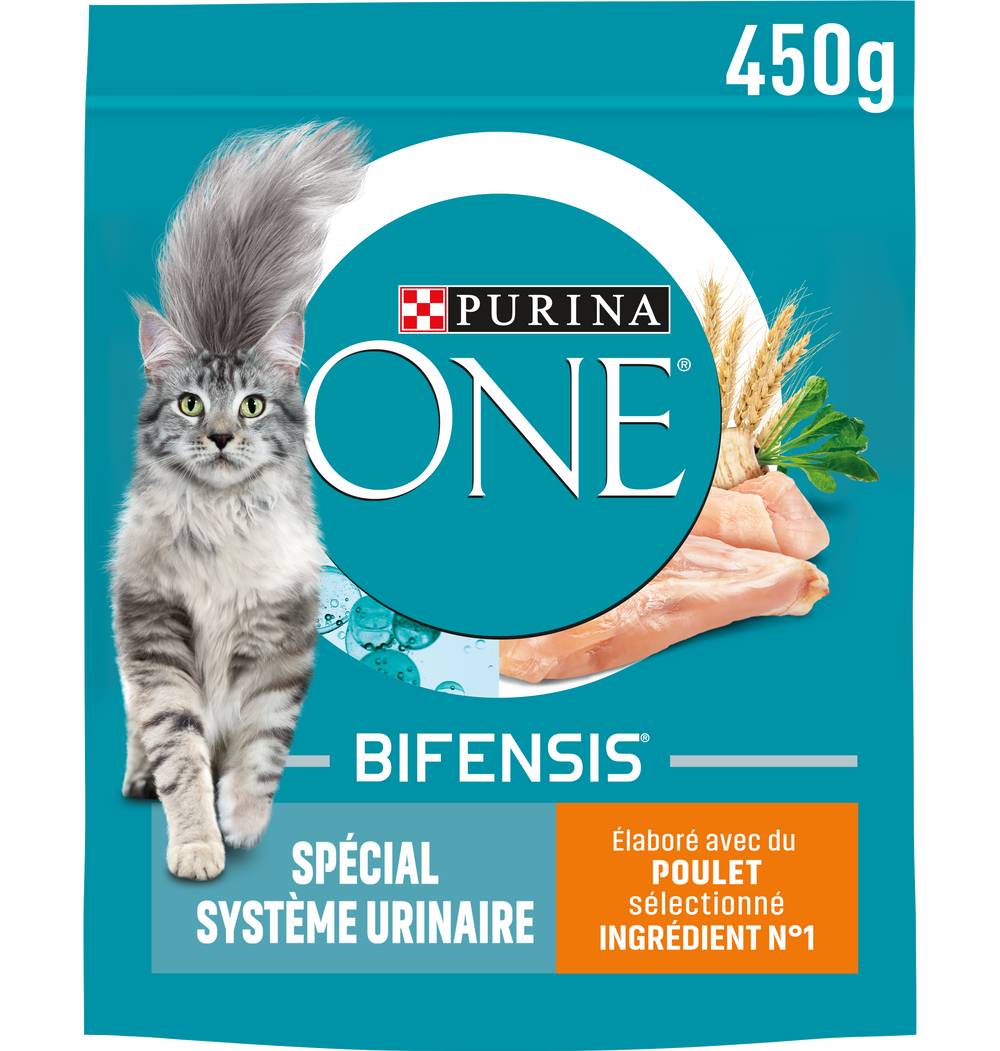 Purina - Croquettes pour chat adulte urinary care au poulet blé (450g)