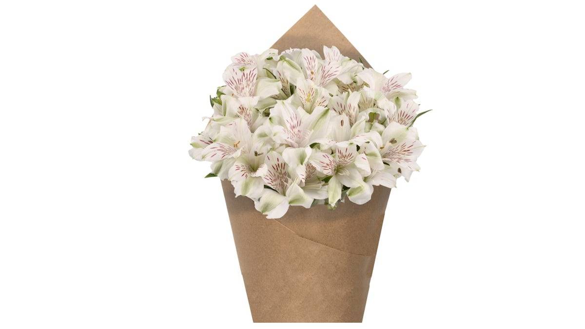 Alstroemeria Bunch - White, 6 stem