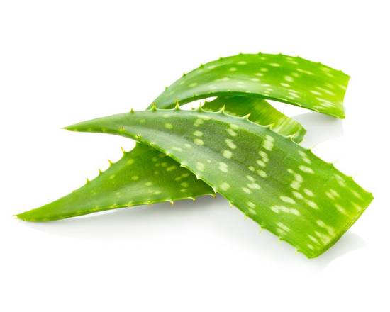Aloe Vera Leaves (1 lb)