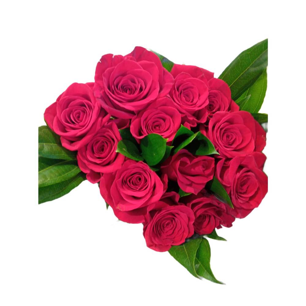 Premium Dozen Roses (1 each)