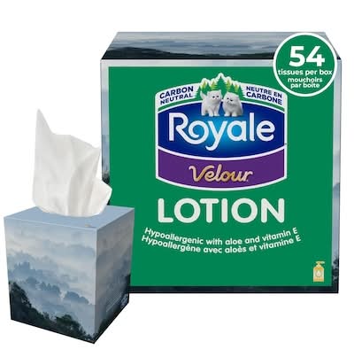 Royale velour mouchoirs en papier 3 épaisseurs avec lotion - velour 3 ply facial tissues with lotion (54 unités)