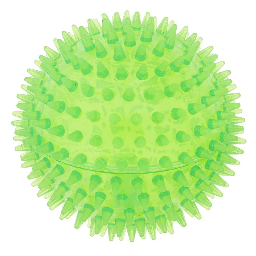 Top Paw® Spike Ball Dog Toy - Squeaker