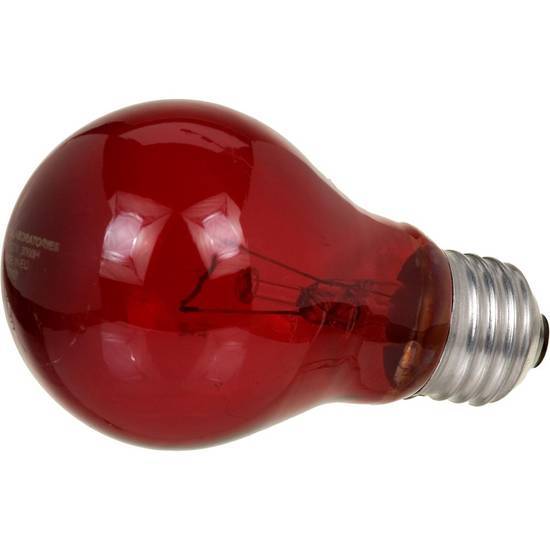 Zoo Med Nightlight Red Reptile Bulb - 60 Watt ( large)