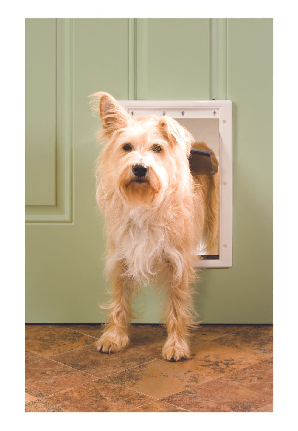 Petsafe 14 In. H X 9.25 In. W Medium Plastic Pet Door