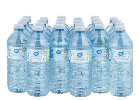 Great Value Pure Spring Water (24 ct, 500 ml)