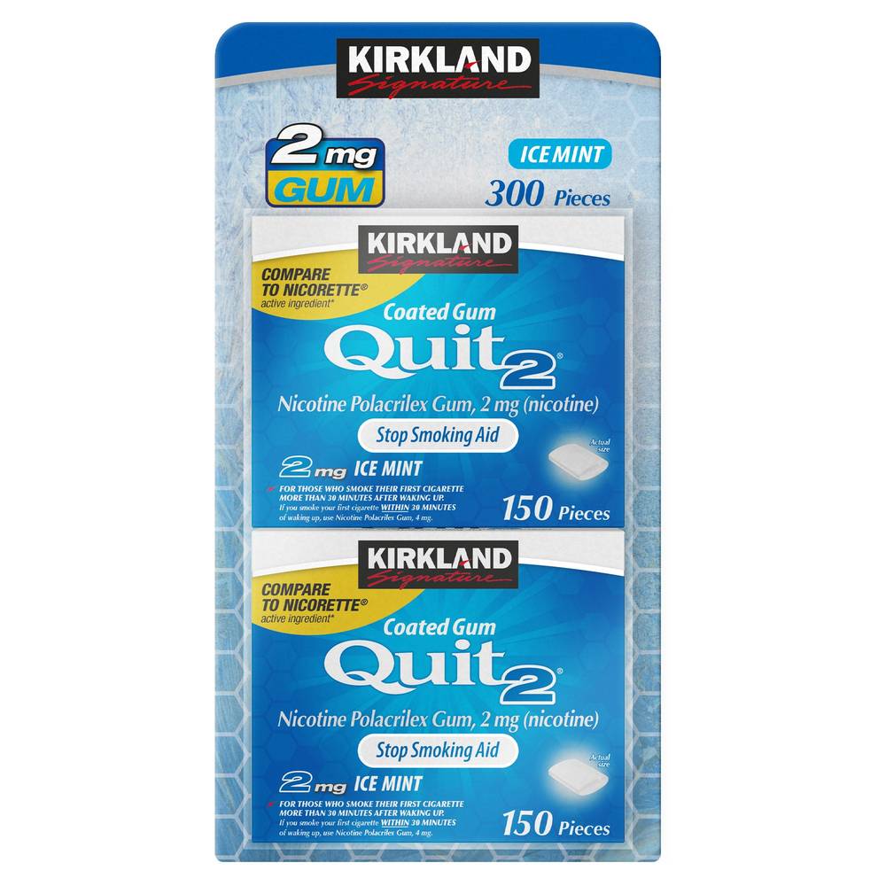 Kirkland Signature Quit Ice Mint Gum (300 ct)