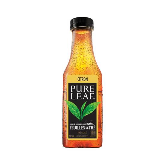 Pure Leaf - Thé glacé  / Pure Leaf - Iced Tea