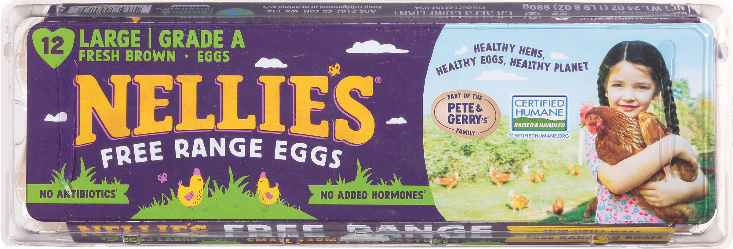 Nellie's Grade a Brown Free Range Eggs, Large (24 oz, 12 ct)