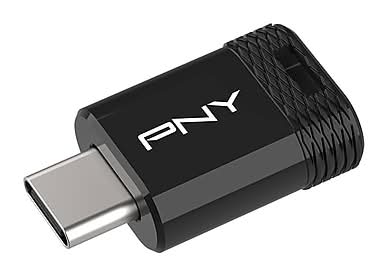 PNY Elite-X Fit 256GB USB 3.2 Type-C Flash Drive, Black (P-FDI256EXFITC-GE)