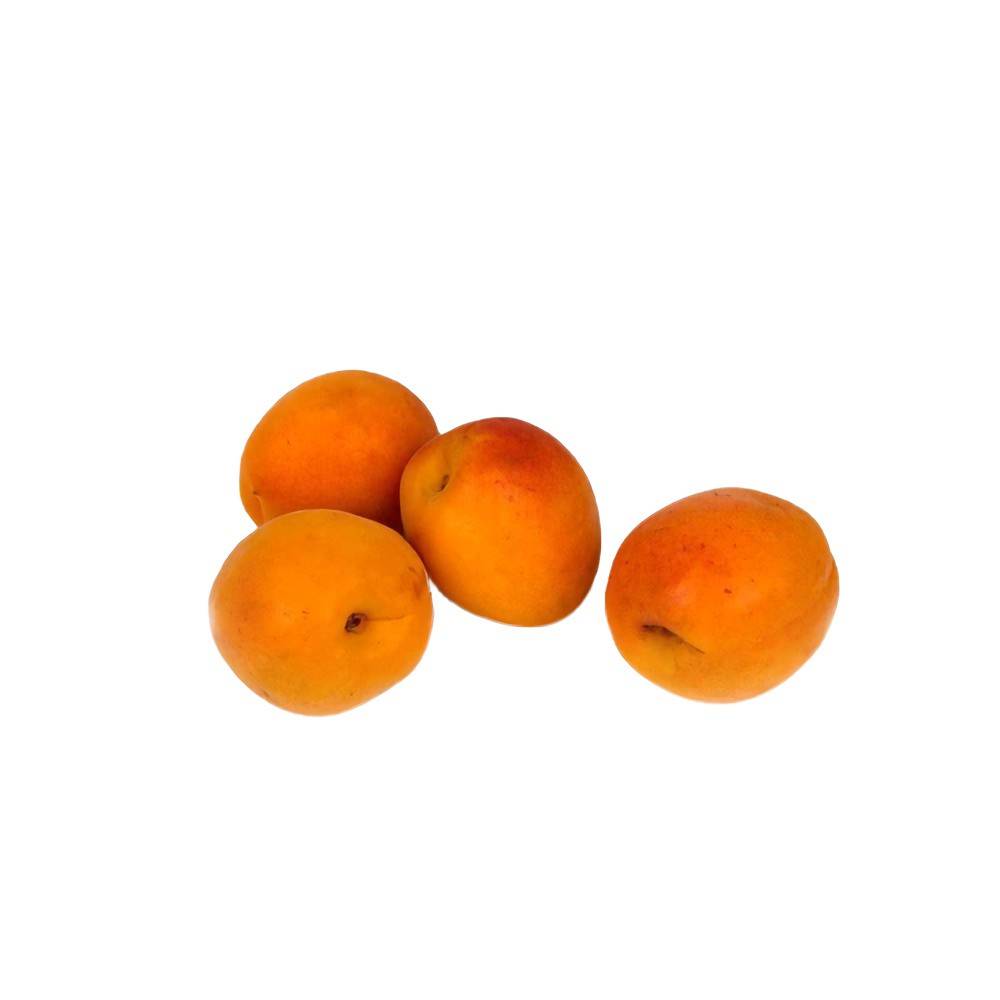 Ontario Apricots (453 g)