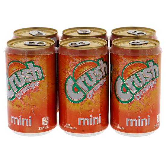 Crush Crush Orange Mini Cans - 6 Pack (222ml x 6)