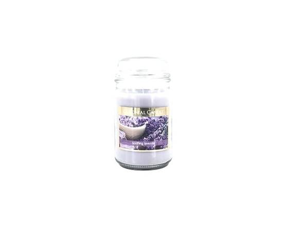 Colonial Candle · Lavender Jar Candle (17 oz)