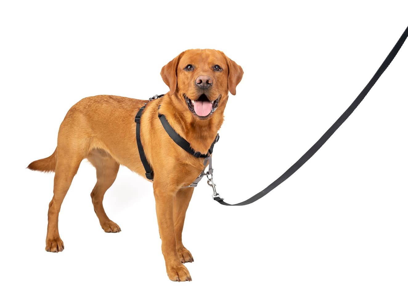 PetSafe® 3 in 1 Dog Harness, Adjustable, Walking Dog Harness, Training Dog Harness, Multiple Sizes (Color: Black, Size: Large)
