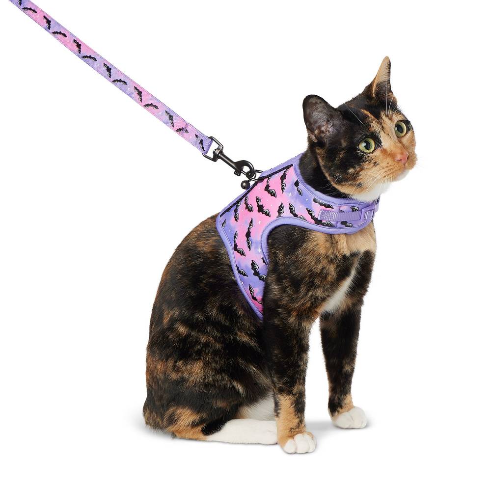 Thrills & Chills Bats Kitten Harness & Leash Combo Set (purple)