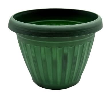 Buzzy Seeds 5.5" Plastic Grow Pot Philodendron
