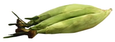 GloriAnn Super Sweet Corn (1.1 lbs, 4 ct)