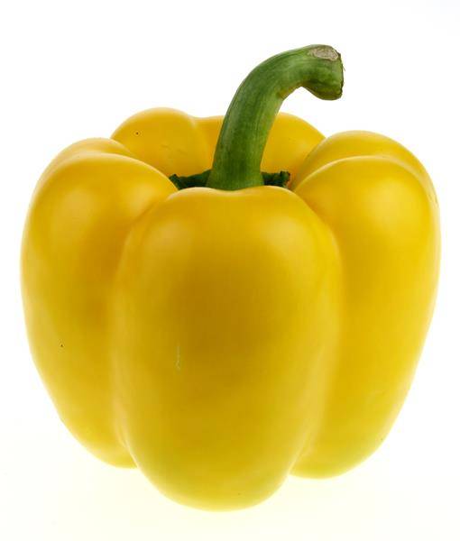 Yellow Bell Pepper