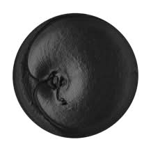 Plaque Sabbath Toothpaste 4.2oz