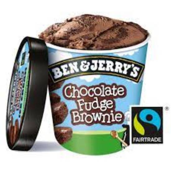 Ben & Jerry's Chocolate Fudge Brownie(100ml)