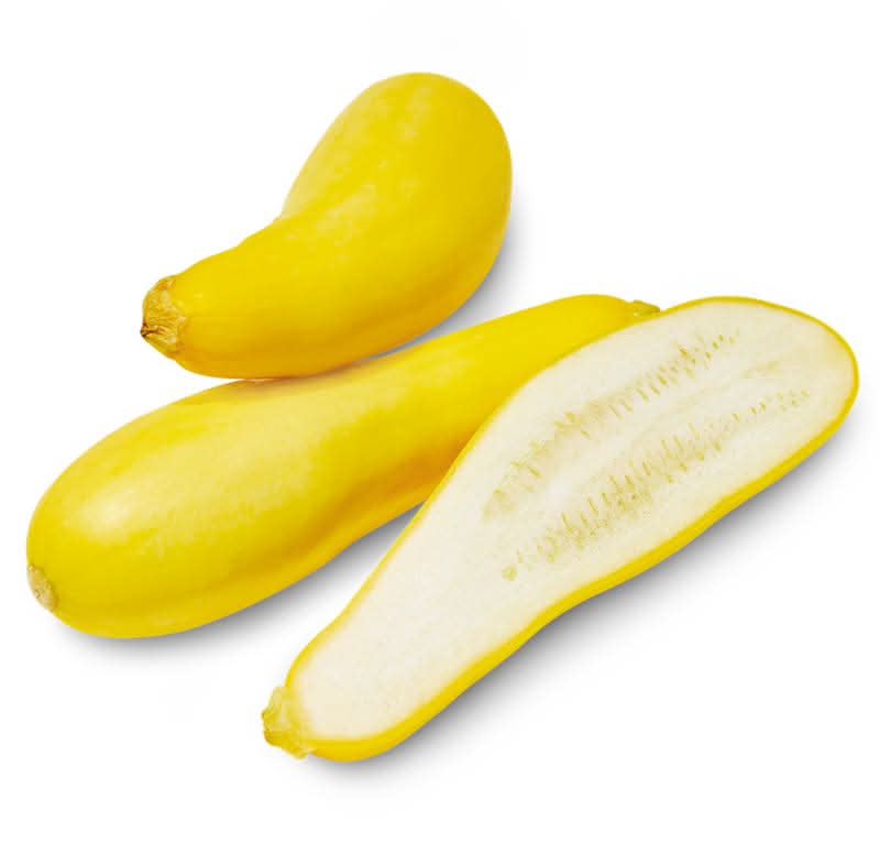 Yellow Squash
