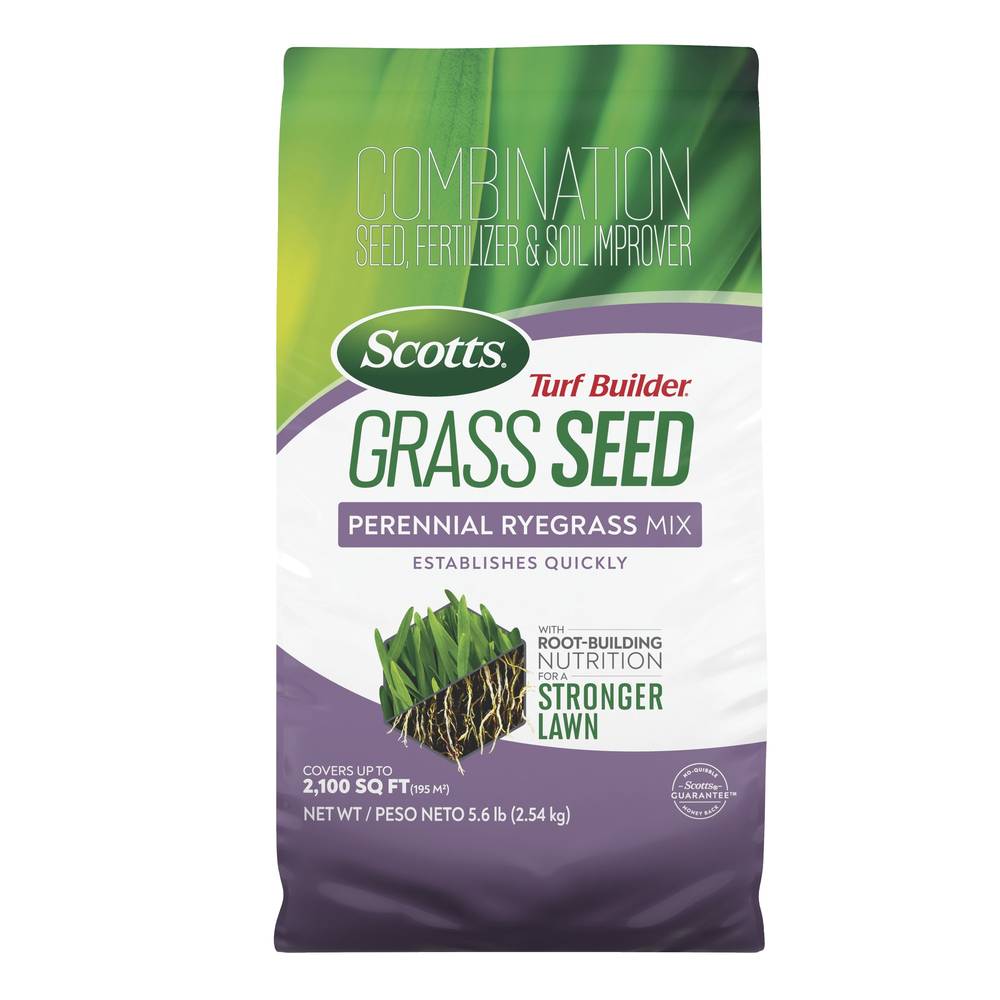 Scotts Turf Builder 5.6-lb Perennial Ryegrass Grass Seed | 18039