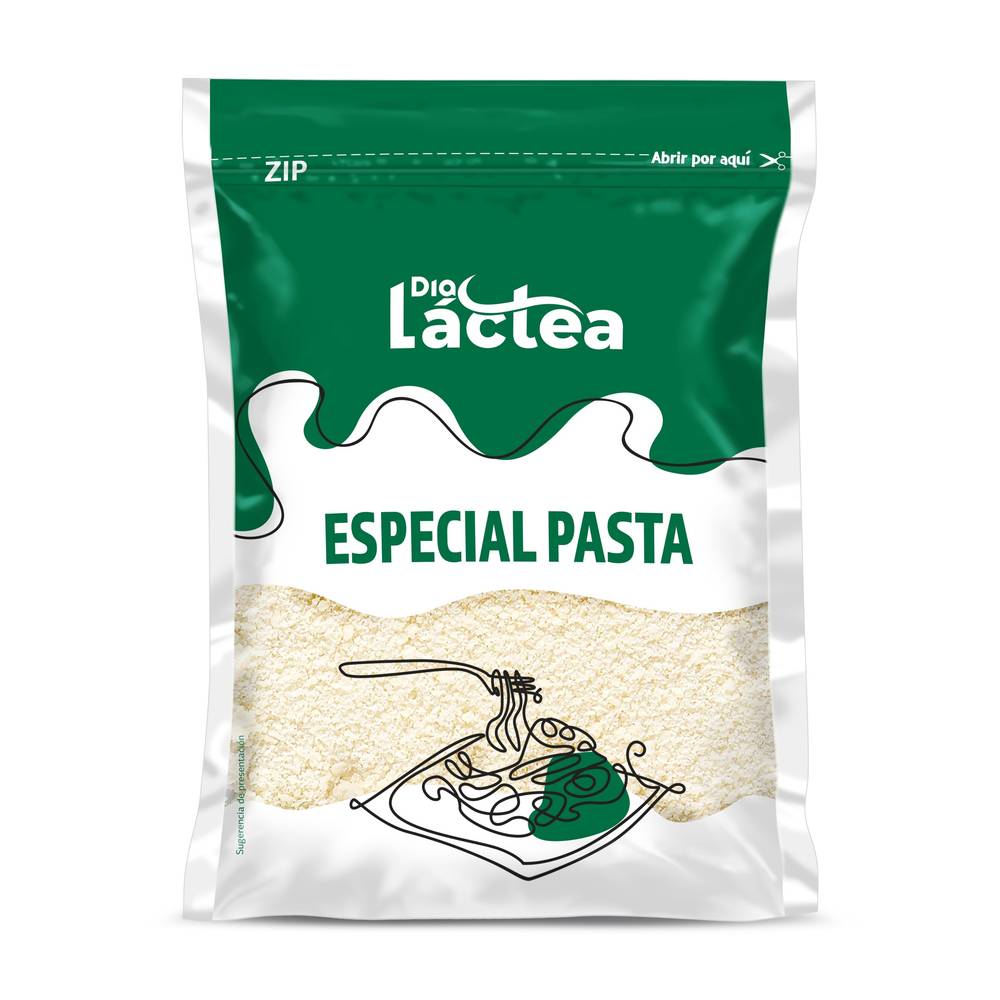 Queso Especial Pasta En Polvo Dia Láctea Bolsa 150 G