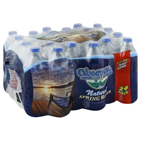 Absopure Natural Spring Water Bottles (24 ct, 405.6 fl oz)