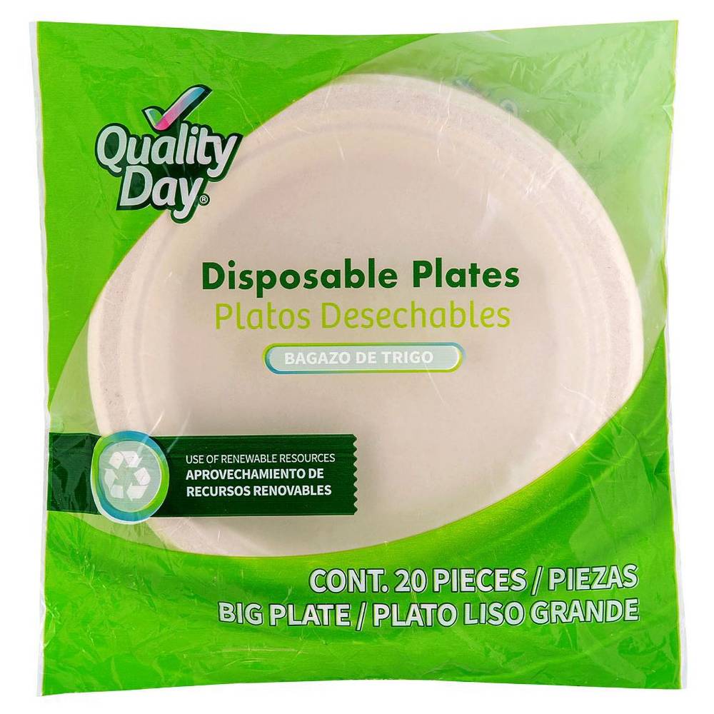 Quality day platos desechables lisos g (paquete 20 piezas)