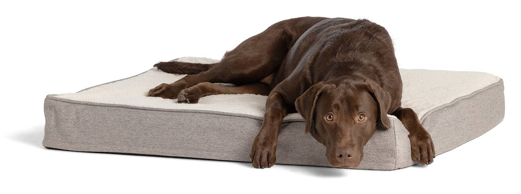 Top Paw Orthopedic Mattress Dog Bed, Gray