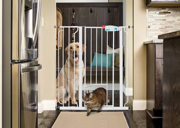 Carlson Extra Tall Pet Dog Gate