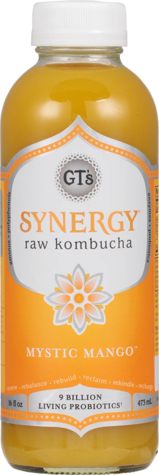 Gt's Synergy Raw Kombucha (16 fl oz) (mystic mango)