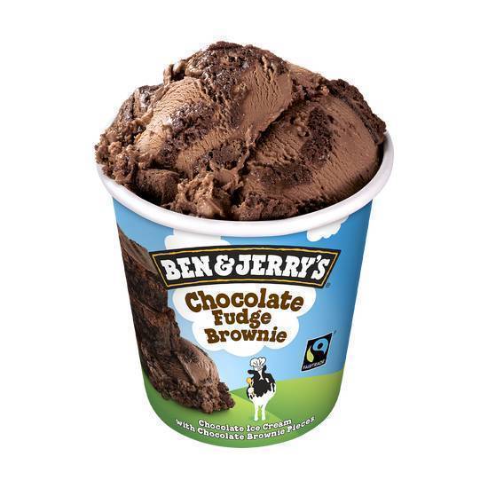 Ben & Jerry's Choco Fudge Brownie 460ml