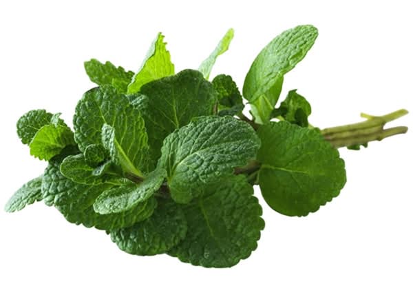 Produce Montes Mint (66 g)
